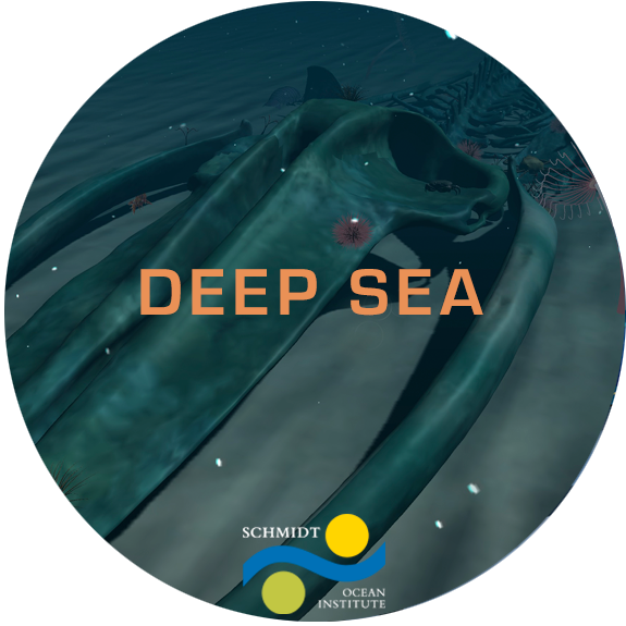 Deep Sea Beta